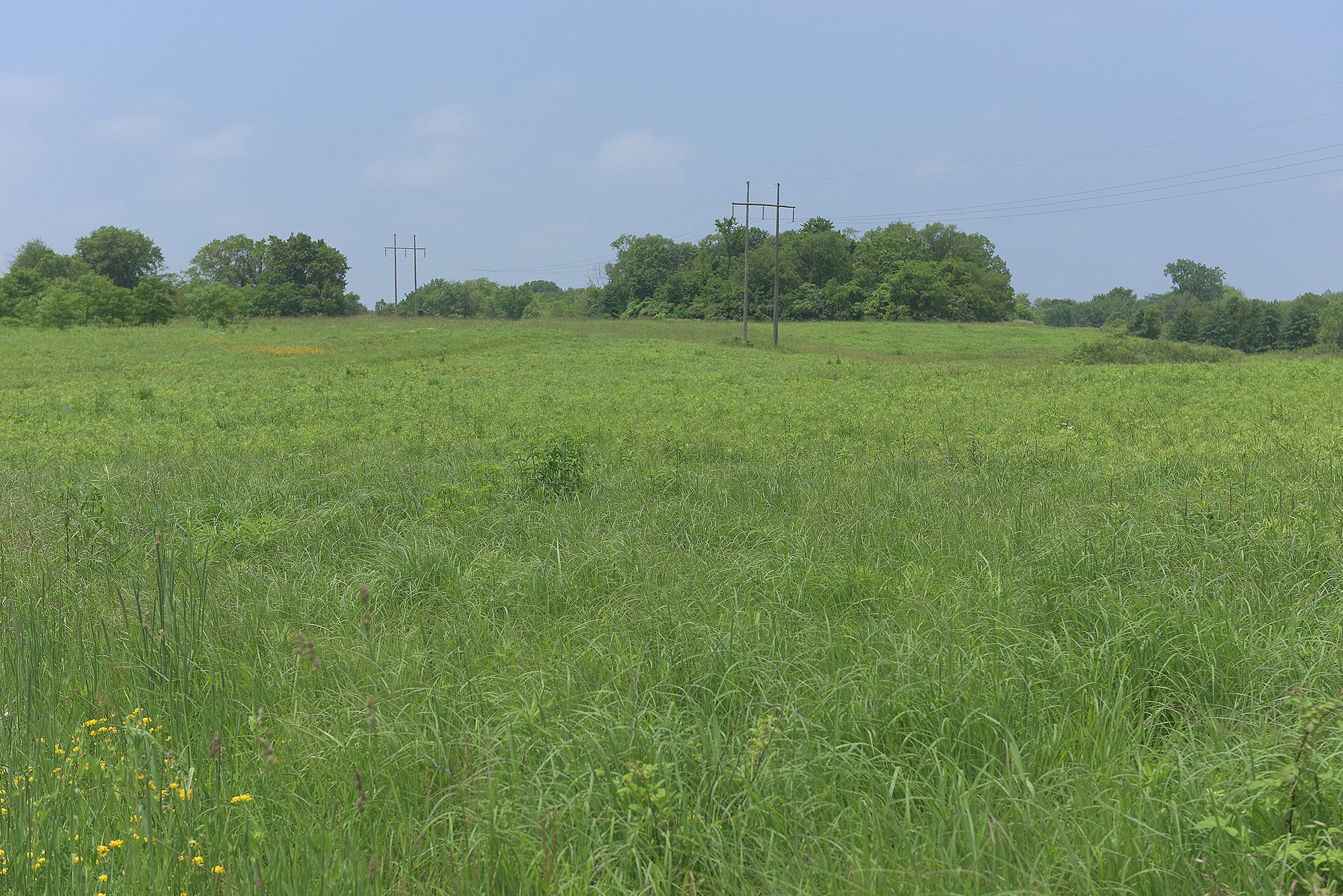 Lake County, Indiana farmland - LAND AUCTION - 147+/- ACRES OFFERED IN 3 TRACTS IN LAKE COUNTY, INDIANA